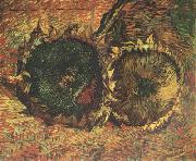Vincent Van Gogh Two Cut Sunflowers (nn04) Spain oil painting artist